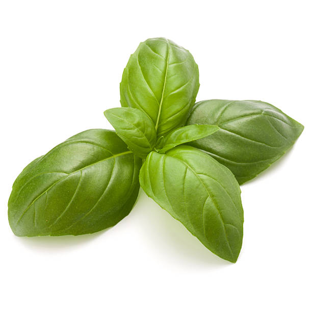 istock Sweet basil herb leaves isolated on white background closeup 638834186