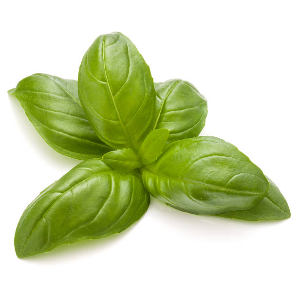 istock Sweet basil herb leaves isolated on white background closeup 638834314