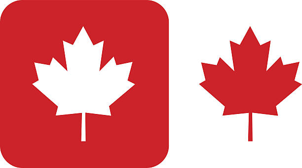 rote maple leaf symbole - canadian flag stock-grafiken, -clipart, -cartoons und -symbole