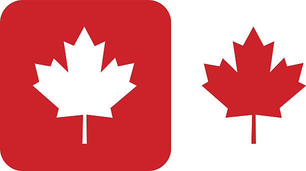 Red Maple Leaf icons Vector illustration of two red maple leaf icons. maple leaf stock illustrations