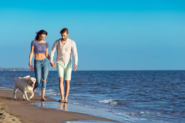 istock two young people running on the beach with dog 638834714