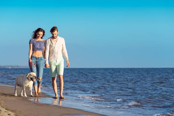 istock two young people running on the beach with dog 638834758