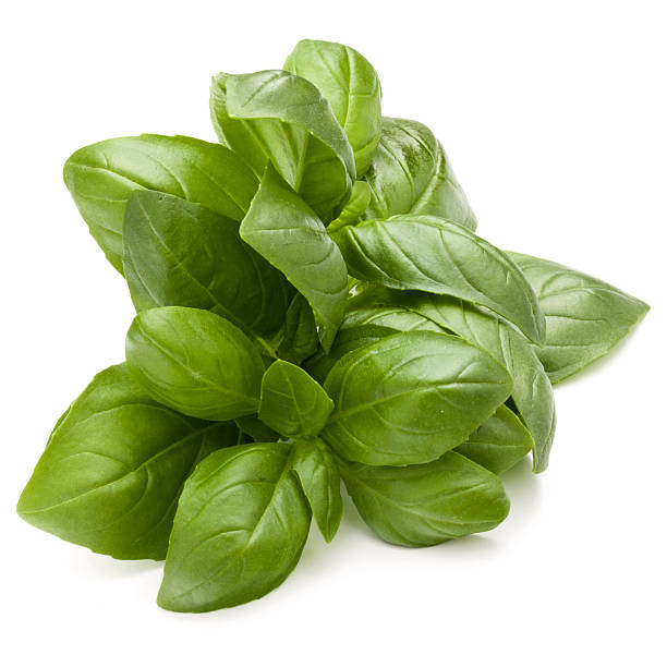 istock Sweet basil herb leaves bunch isolated on white background 638834802