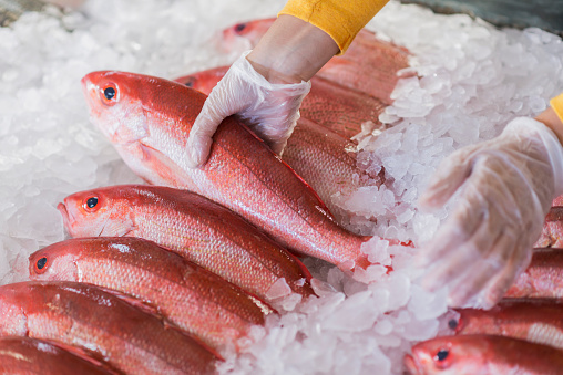 Fresh fish on ice, red snapper, for sale in seafood store. A female worker wearing gloves is taking a whole fish from the display.