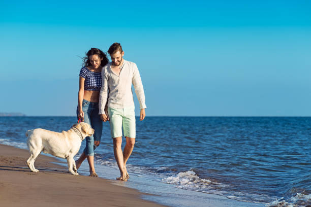 istock two young people running on the beach with dog 638834862