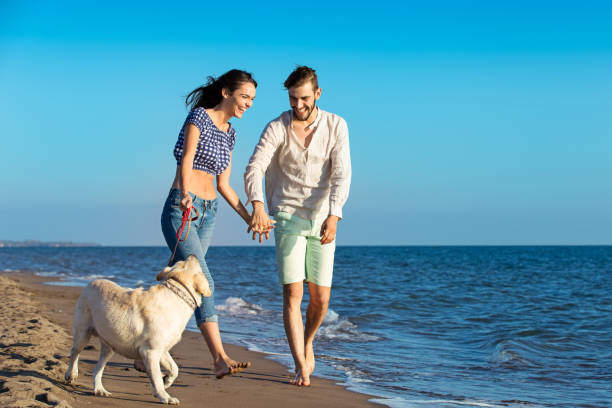 istock two young people running on the beach with dog 638834962