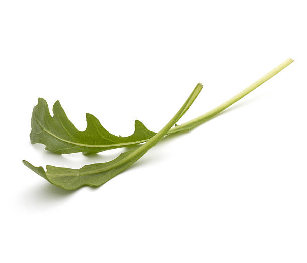 istock Sweet rucola salad or rocket lettuce leaves  on white ba 638835030