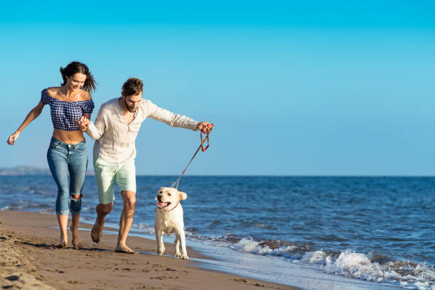 istock two young people running on the beach with dog 638835316
