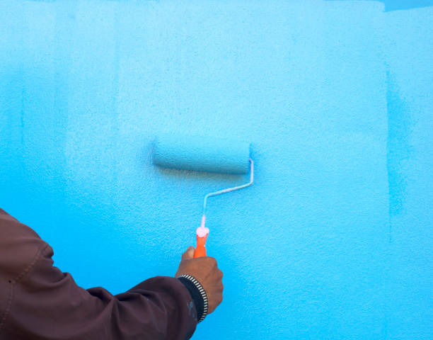istock New colour painted walls 638836868