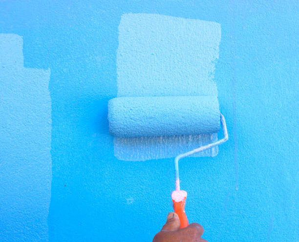 istock New colour painted walls 638836906