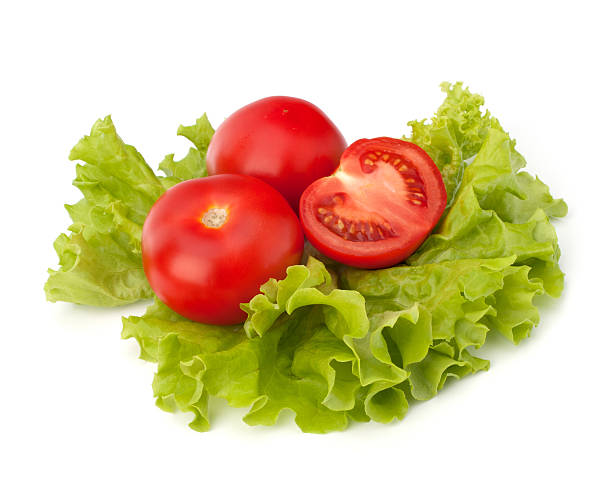 istock tomato vegetable and lettuce salad 638837462
