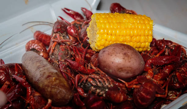 langusten an langusten kochen in eistruhe - cajun food stock-fotos und bilder