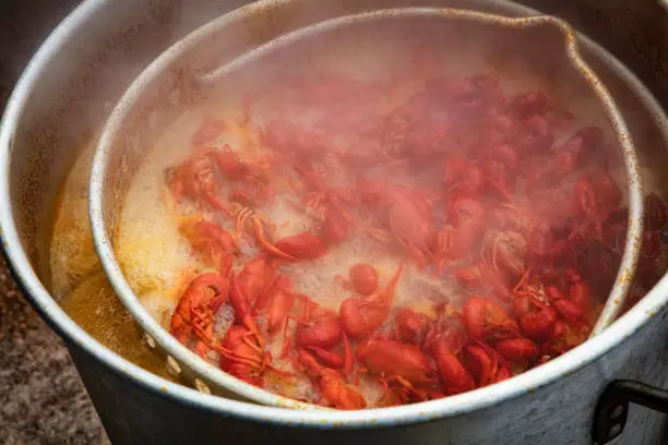 Photo of Crawfish Boiling in Hot Water