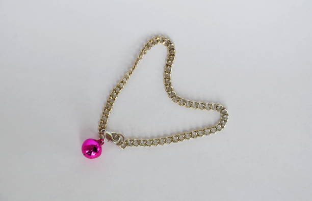 istock pet necklace with small bell on white background 638853520