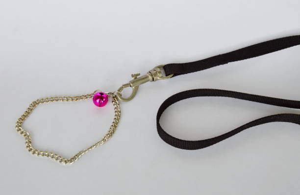 istock pet necklace with bell and fabric leashes on white background 638853578