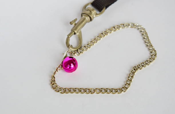 istock cat and dog necklace with fabric leashes on white background 638854652