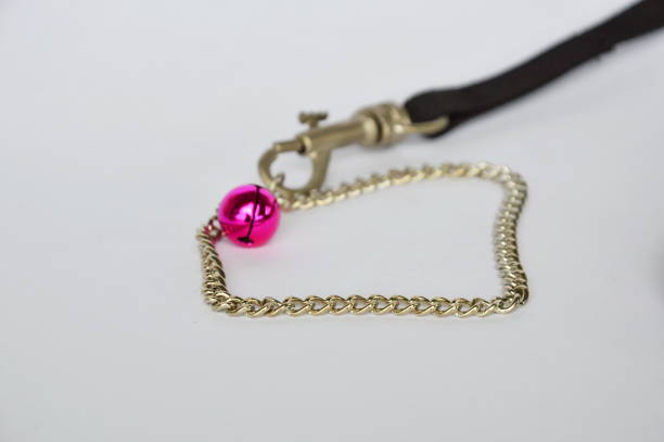 istock dog and cat necklace with fabric leashes on white background 638854780
