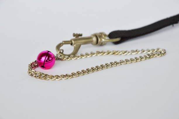 istock cat and dog necklace with fabric leashes on white background 638854842