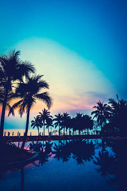 istock Silhouette palm tree on the swimming pool 638857242