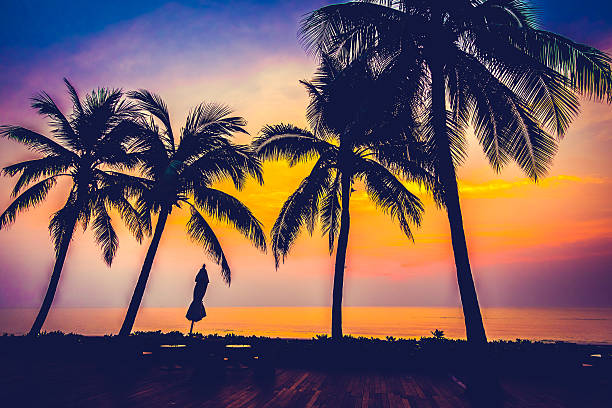 istock Silhouette palm tree on the swimming pool 638857326