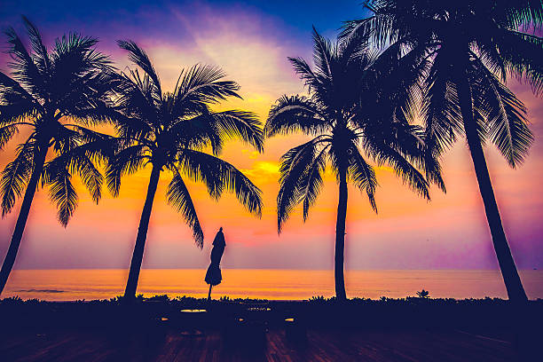 istock Silhouette palm tree on the swimming pool 638857388
