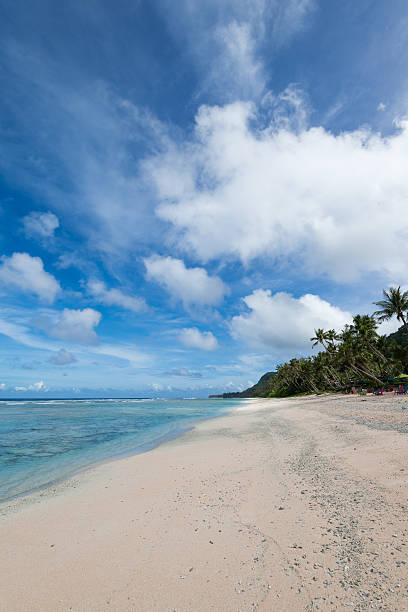 istock Coco Palm Garden Beach in Guam, USA 638858884
