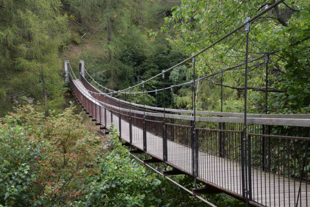 istock Wooden Suspension Bridge 638866706