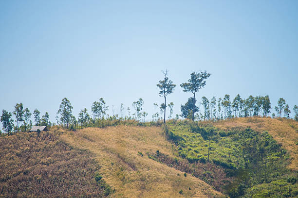 istock beautiful landscape with mountains 638869520