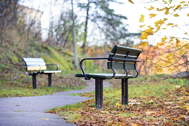 istock Walk path. Autumn in the park, benches close-up 638870168