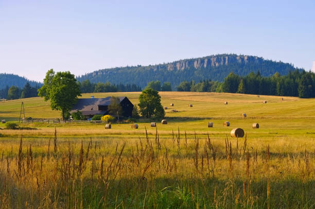 istock Stolowe Mountains in Silesia 638876094