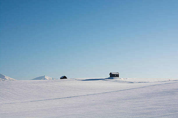 istock Blue sky and snowy field 638876428