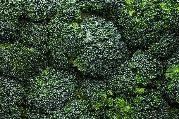 istock Wet fresh green broccoli with water drops closeup as background. 638877564