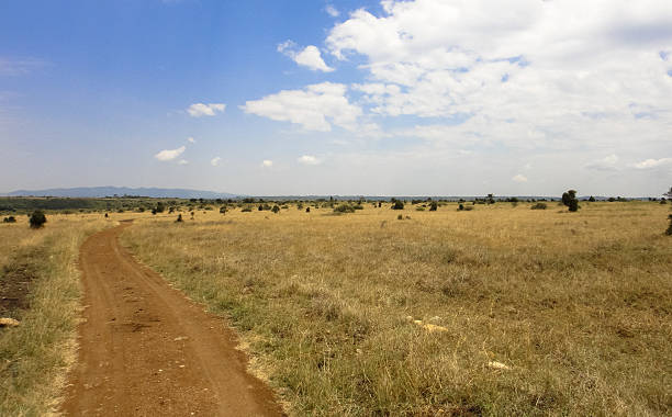 istock African savannah landscape. Kenya. Eastern Africa 638877732