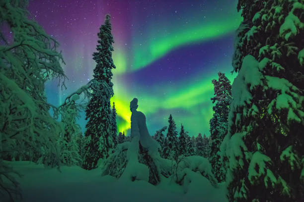 istock Nothern lights over Lapland 638880258