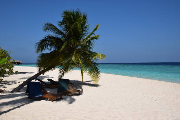 istock Beautiful beach at the Maldives 638883326