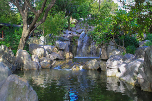 istock Japanese garden pond 638883564