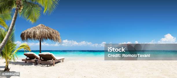 Chairs And Umbrella In Coral Beach Tropical Resort Banner Stock Photo - Download Image Now