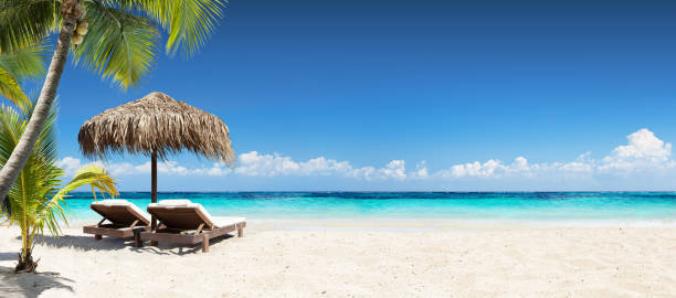 chairs and umbrella in coral beach - tropical resort banner - beach imagens e fotografias de stock