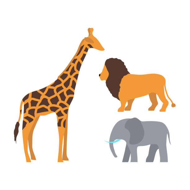 süße giraffe, elefant und löwe cartoon - animal animal neck cute safari animals stock-grafiken, -clipart, -cartoons und -symbole