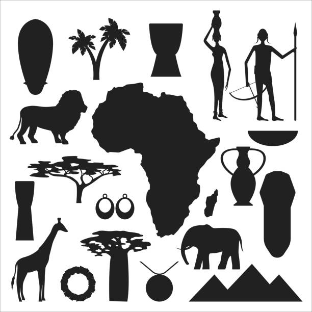 afrika symbole und reisen vectorsatz. - tropical rainforest animal cartoon lion stock-grafiken, -clipart, -cartoons und -symbole