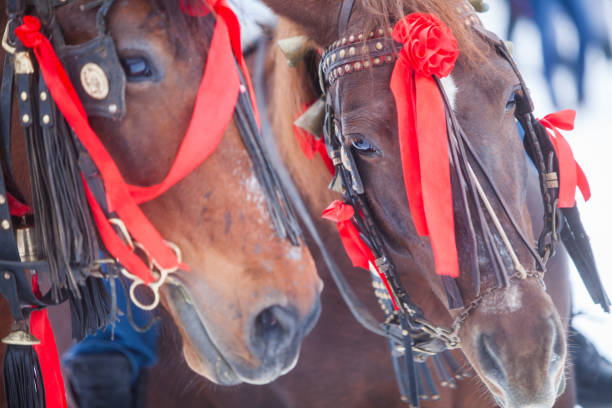 istock Horses and red ribbons 638890538
