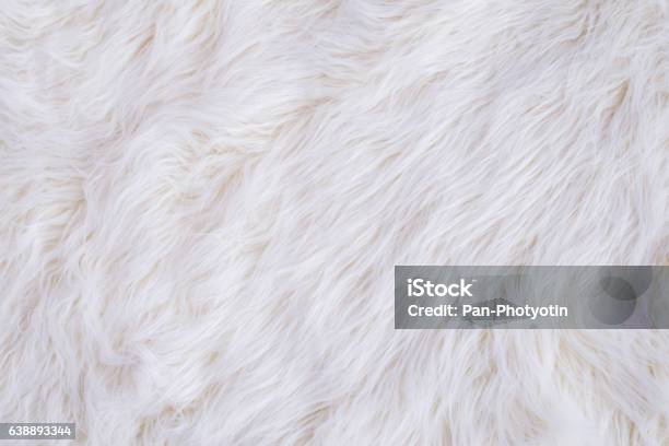 White Fur Texture Stockfoto en meer beelden van Dierenhaar - Dierenhaar, Huiskat, Wit