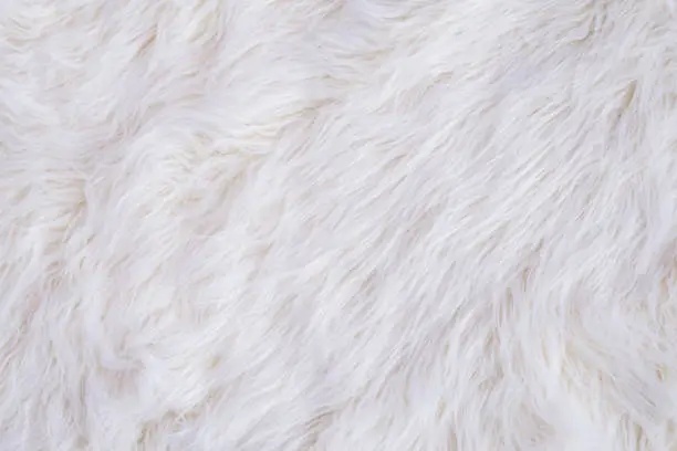 White Fur Texture Background