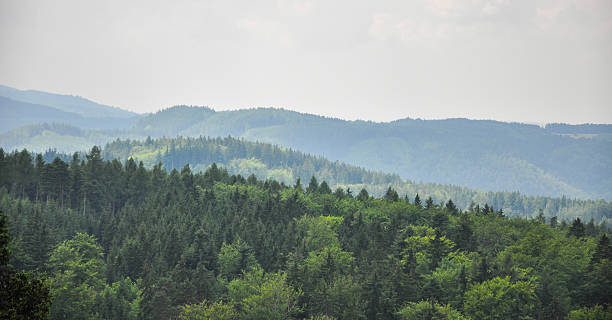 Panoramic view of the forest in Karlovy Vary, Czech Republic stock photo