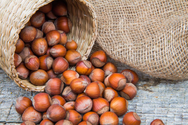 istock Hazelnut spill out of wicker basket on background of burlap 638895430