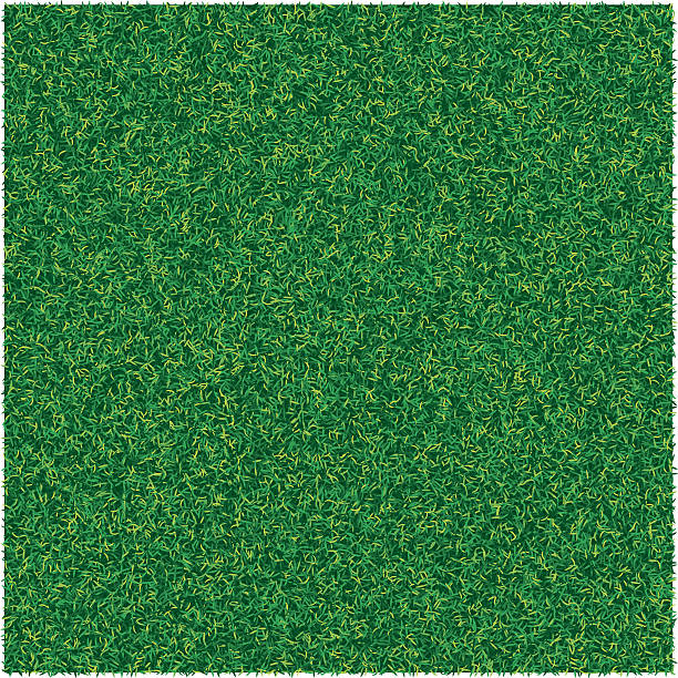 векторная абстрактная текстура с зеленой травой газона для дизайна фона - вертикальный иллюстрации stock illustrations