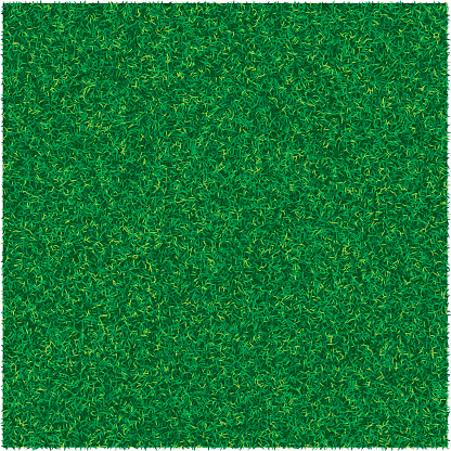 Vector abstract texture with green lawn grass for design backgrounds
