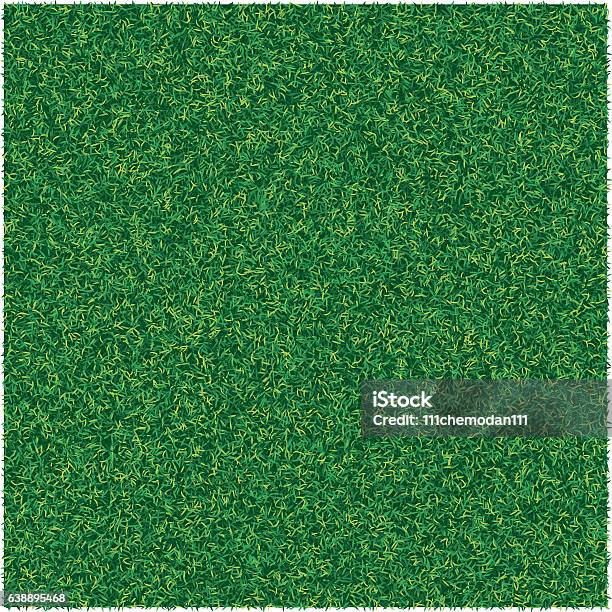 Vector Abstract Texture With Green Lawn Grass For Design Background Stock Illustration - Download Image Now