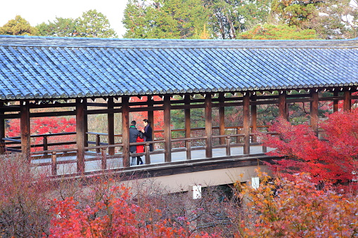 Tsutenkyo Bridge at Tofukuji Temple in Autumn