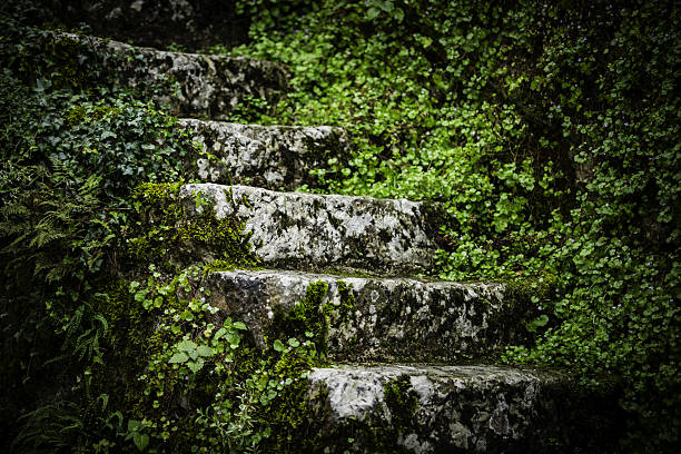 old stairs in Hallstatt, Austria
